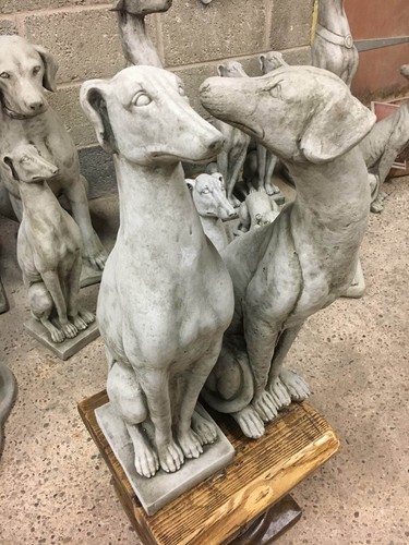 Greyhound saluki garden - (new),