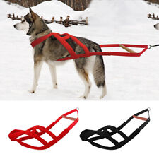 Dog Sled Harness for Large