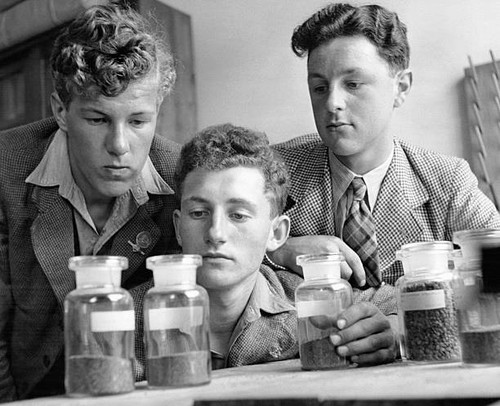 Three pupils the - pupils,