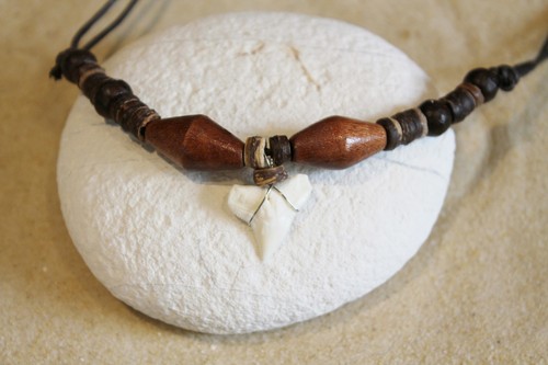 Shark tooth necklaces teeth - tooth,