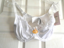ladies brand new gorgeous