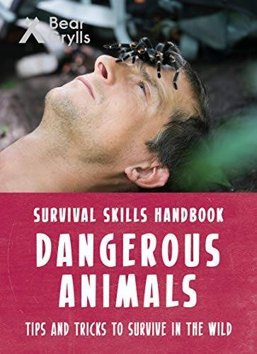 Bear grylls survival - bear,