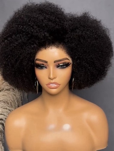 Afro kinky curly wig - kinky, 13x2