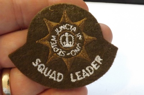 Military badge british army - badge,