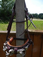 TRIUMPH Leather Lunge Cavesson, Adjustable, Cob/Full, GOOD USED CONDITION