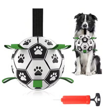 NEW Pet Dog Football Toy Puppy