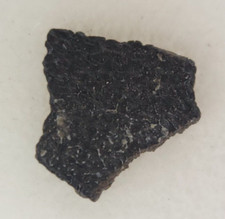 Hadrosaur Egg Shell Fossil -