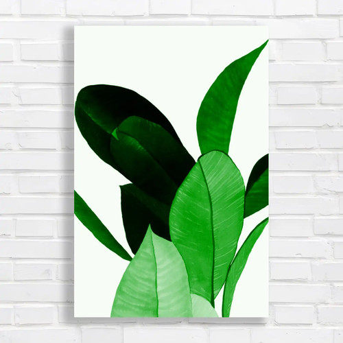 Vibrant tropical leaf green - leaf,
