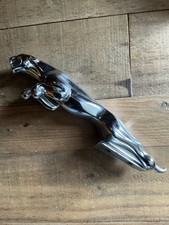 JAGUAR Mascot - JAGUAR WILMOT