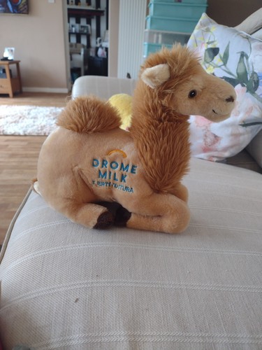 Drome milk fueventura cuddly - drome,