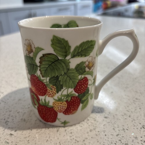 Strawberry fruit garden - ‘strawberry, garden’
