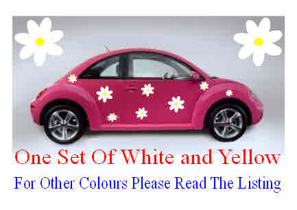 Large daisy flower car van - daisy,