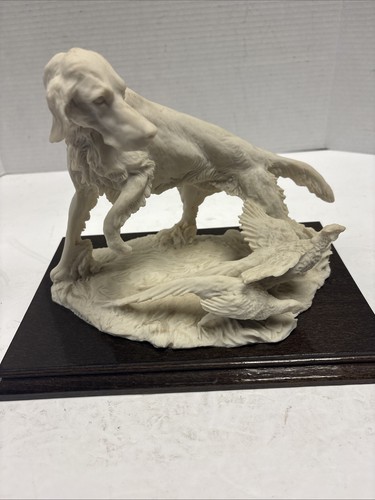 Belcari hunting dog - belcari,