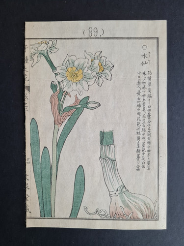 Antique 1890 japanese - antique,