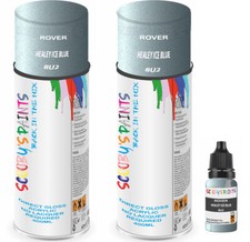 For Rover Spray Paint Aerosol