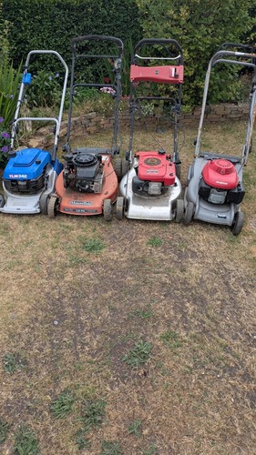 Job lot lawnmowers - job,