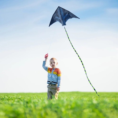 Yongjian large delta - large, kite