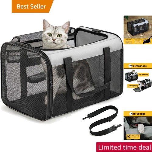 Collapsible cat and - collapsible,