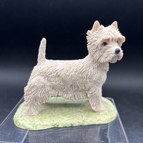 West highland white terrier - highland,