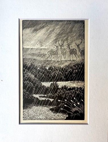 Vintage wood engraving - , print