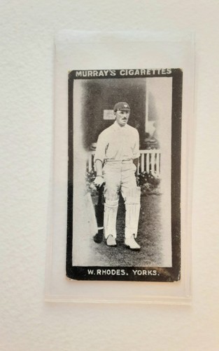 Murray cricketers - -, 'cricketers