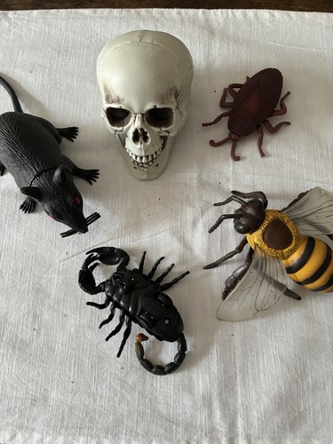 Group halloween decorations - halloween,