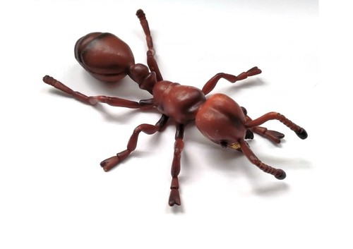 Safari ltd fire ant hidden - safari,