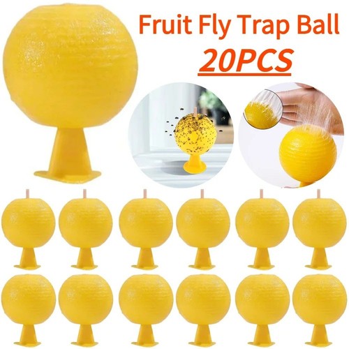 Pack indoor fly - 3,