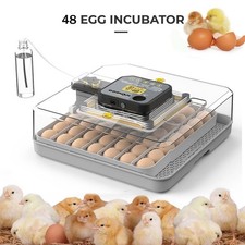 48 Eggs Incubator Temperature