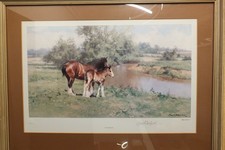 David Shepherd High Noon