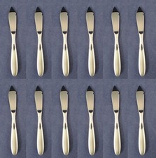 Oneida PARADOX  Stainless