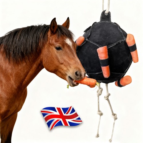 Horse carrot feeding - feeding, ball