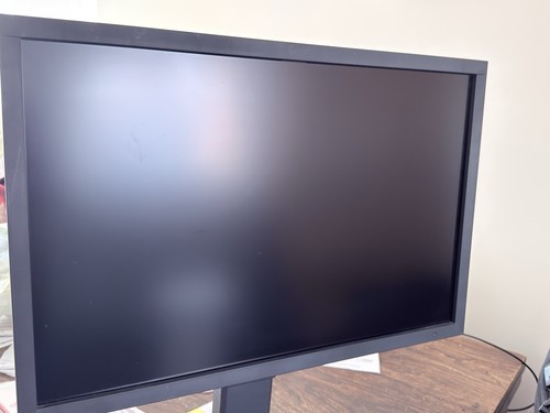 Eizo coloredge cg2420 - eizo, 24"