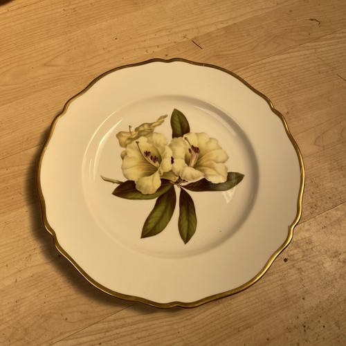 Spode bone china - spode,