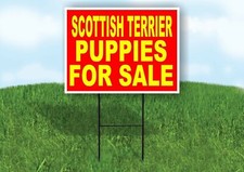 Scottish Terrier PUPPIES FOR