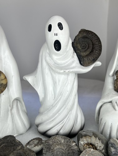 Ammonite fossil ghost ornament - fossil,