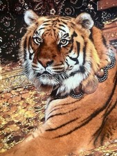 Franklin Mint Fine Porcelain Ltd Edition Golden Tiger Display Plate ✅ 1153