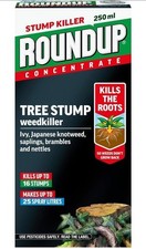 Roundup tree stump and root - tree,