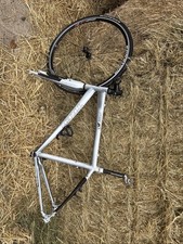 TREK 7.6 FX LIGHT WEIGHT BIKE CARBON FORKS One Wheel 20.5” FRAME M/l Project