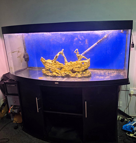 Bowfront glass aquariumjuwel - glass,