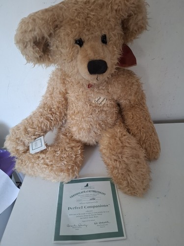 Gallery teddy bear collection - bear,