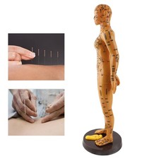 Female Human Body Acupuncture