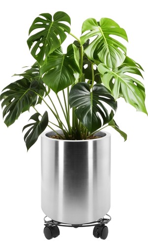 30cm pots for plants - pots,