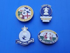 4 Stunning Cardiff City Pin