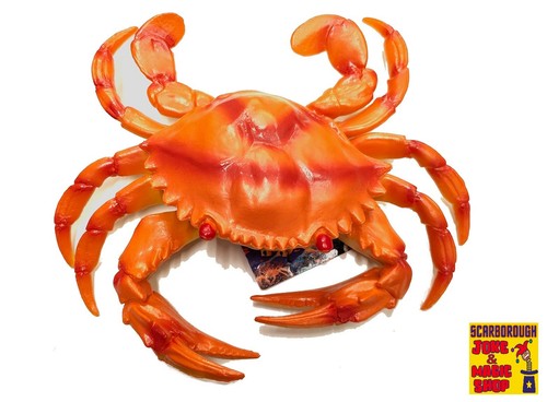Orange crab plastic life - orange,