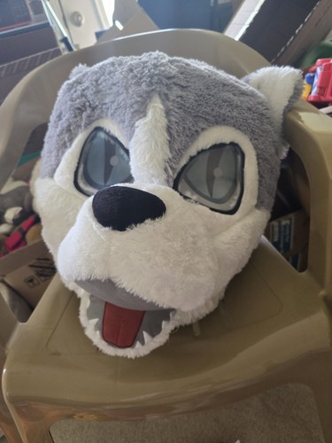 Gray white wolf - white, dog