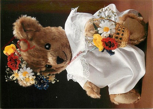 Picture postcard teddy bear - picture,