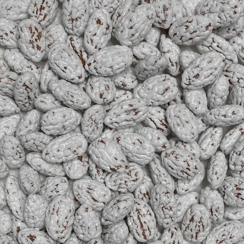 Nuql sugar coated - nuql, –