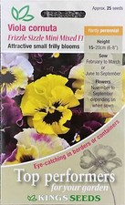 Kings Seeds - Flower - Viola
