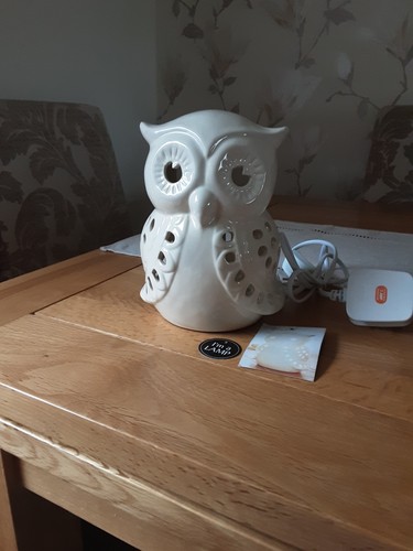 Beige owl electric table - owl, lamp